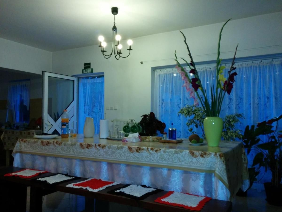 Гостевой дом Pension Casa Anadam Бэиле-Еркулане-14