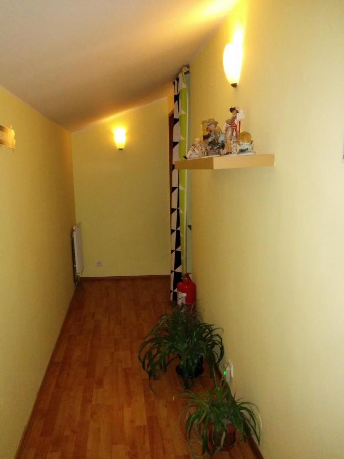 Гостевой дом Pension Casa Anadam Бэиле-Еркулане-16