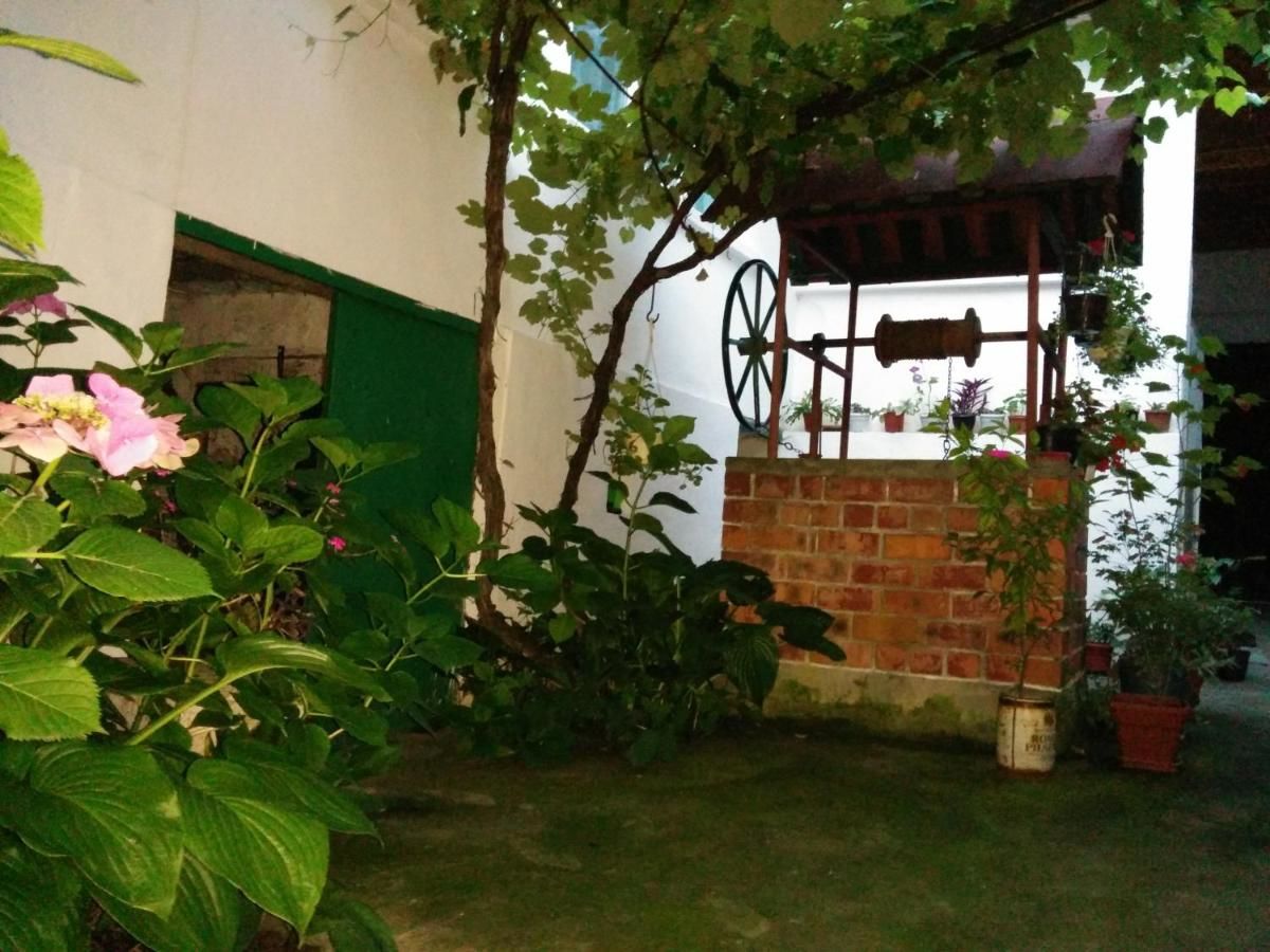 Гостевой дом Pension Casa Anadam Бэиле-Еркулане-18