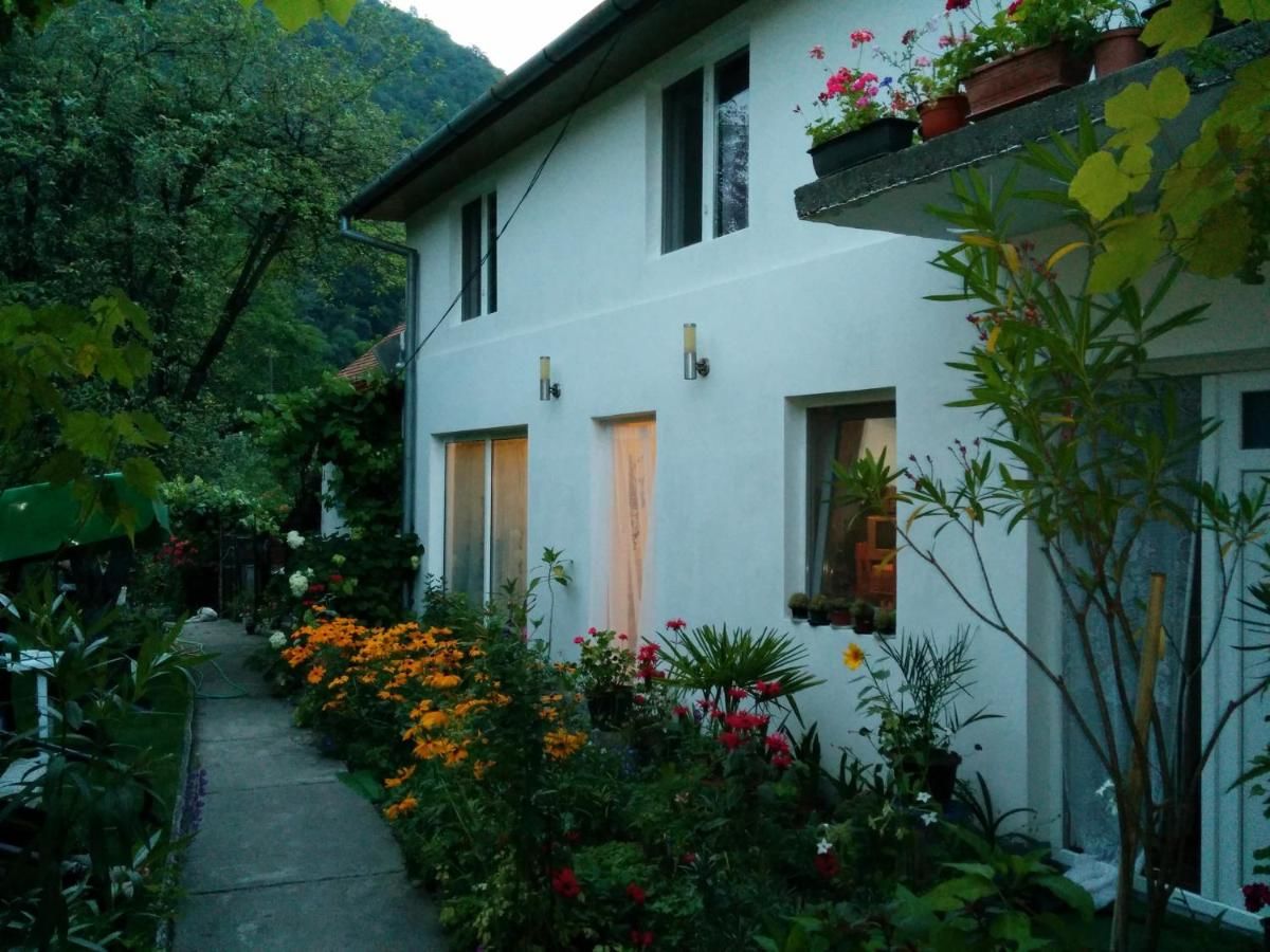 Гостевой дом Pension Casa Anadam Бэиле-Еркулане-19