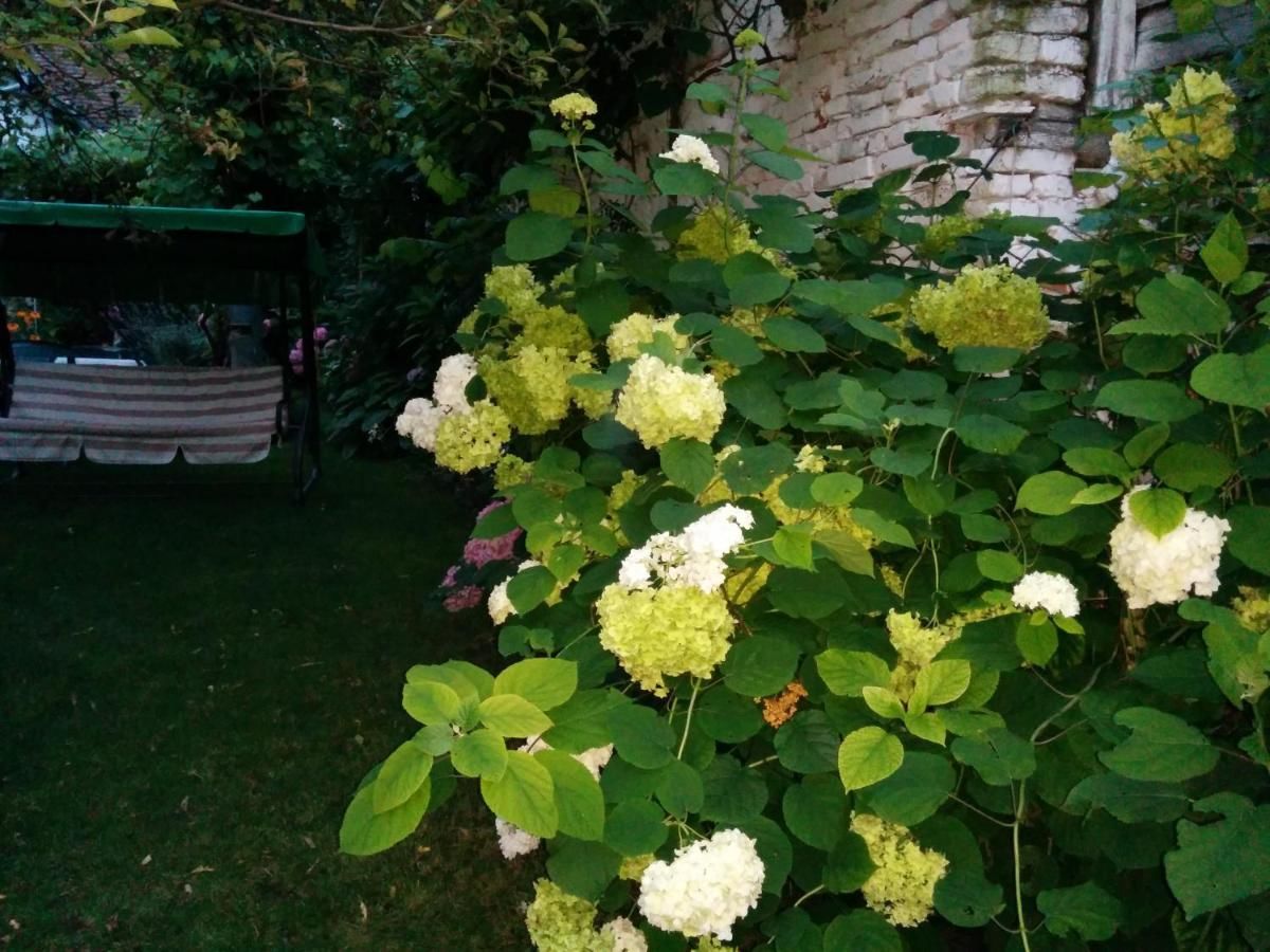 Гостевой дом Pension Casa Anadam Бэиле-Еркулане-20