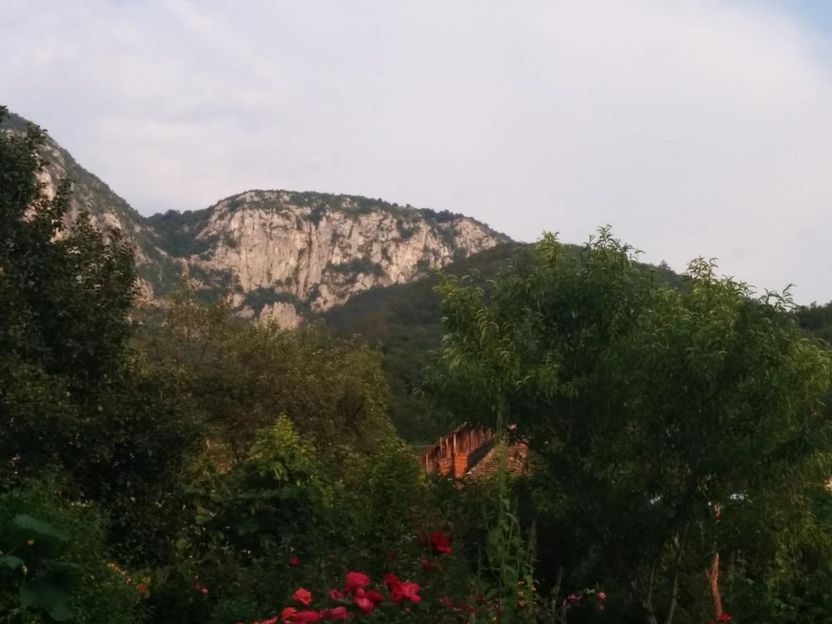 Гостевой дом Pension Casa Anadam Бэиле-Еркулане-26