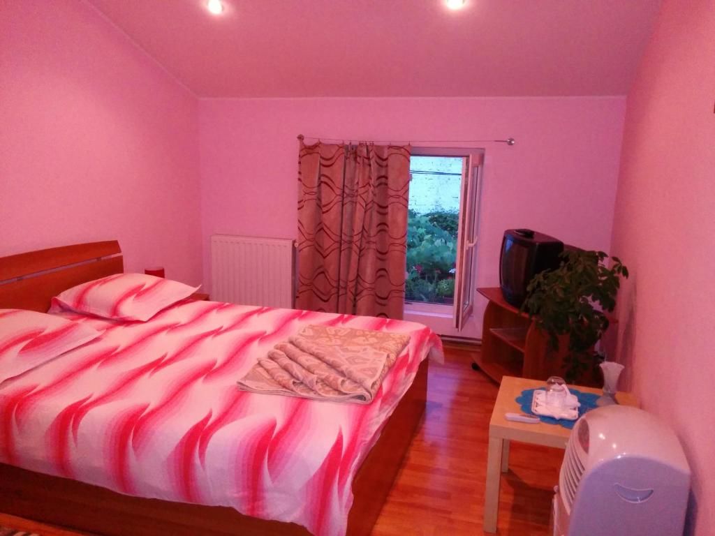Гостевой дом Pension Casa Anadam Бэиле-Еркулане-50