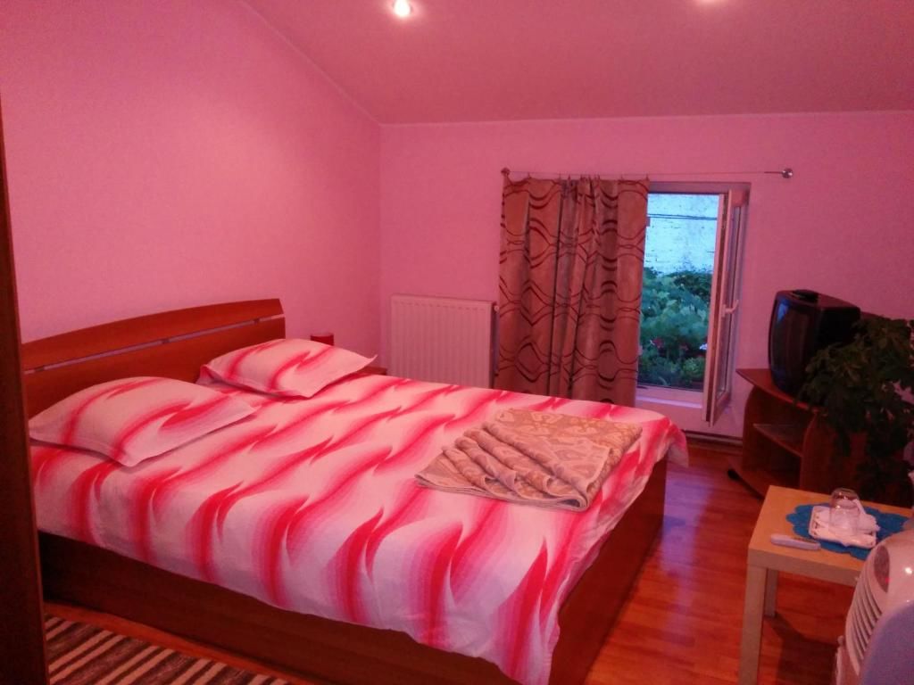 Гостевой дом Pension Casa Anadam Бэиле-Еркулане-53