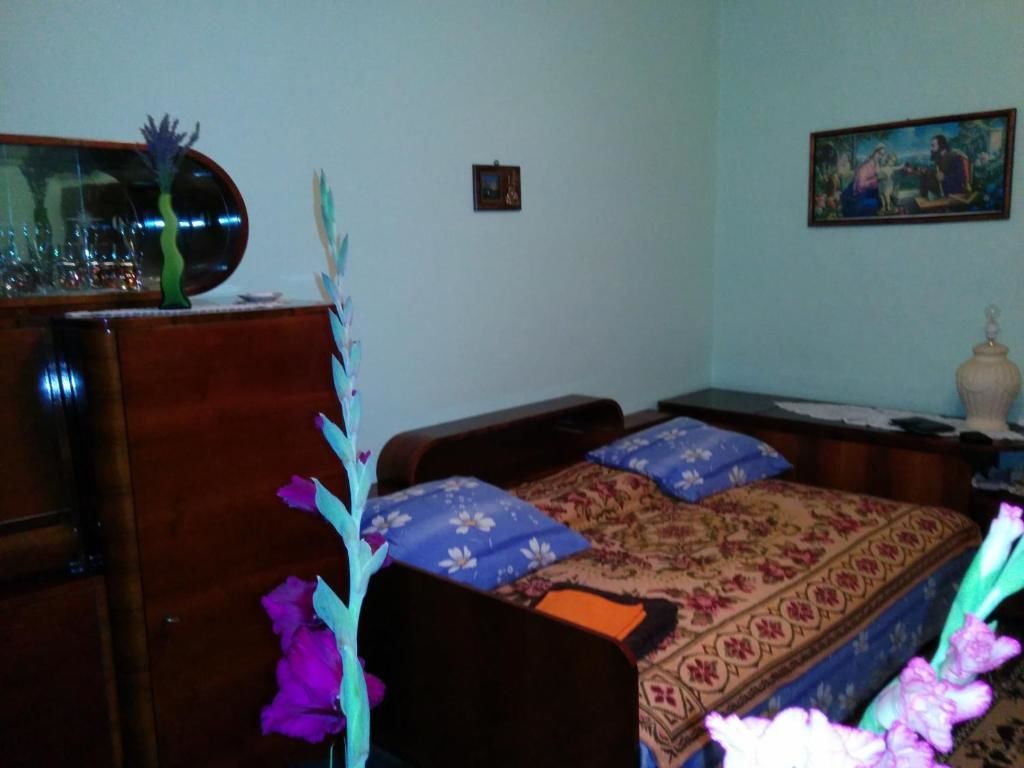 Гостевой дом Pension Casa Anadam Бэиле-Еркулане