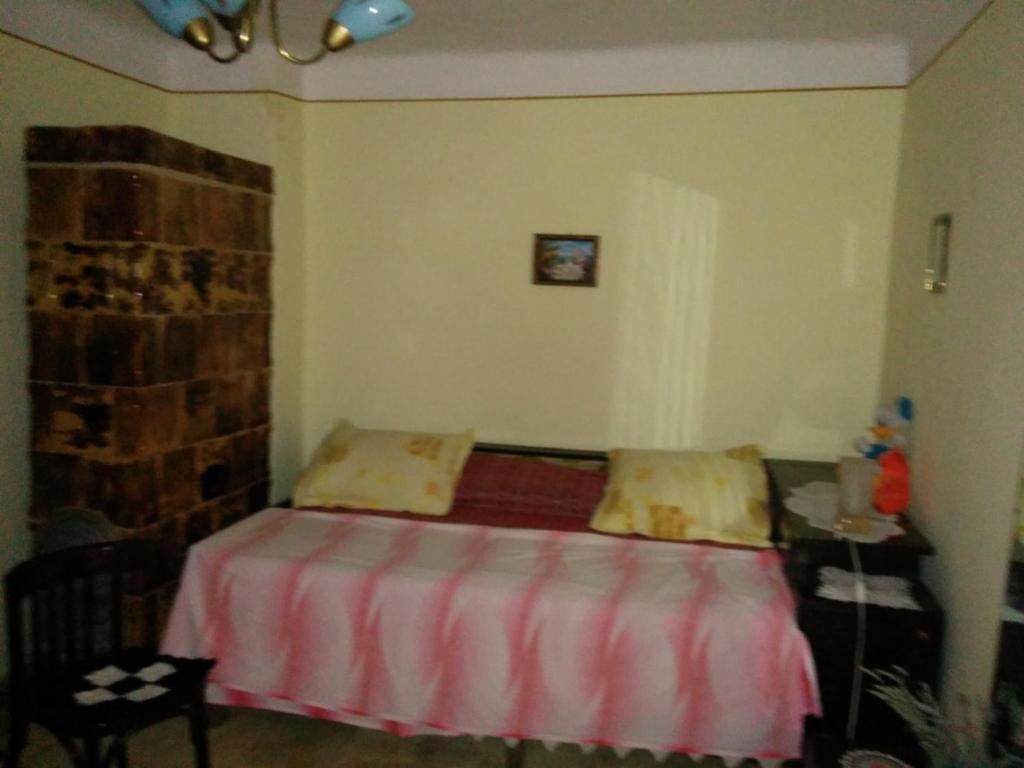 Гостевой дом Pension Casa Anadam Бэиле-Еркулане
