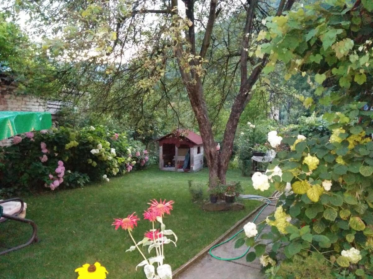 Гостевой дом Pension Casa Anadam Бэиле-Еркулане-12